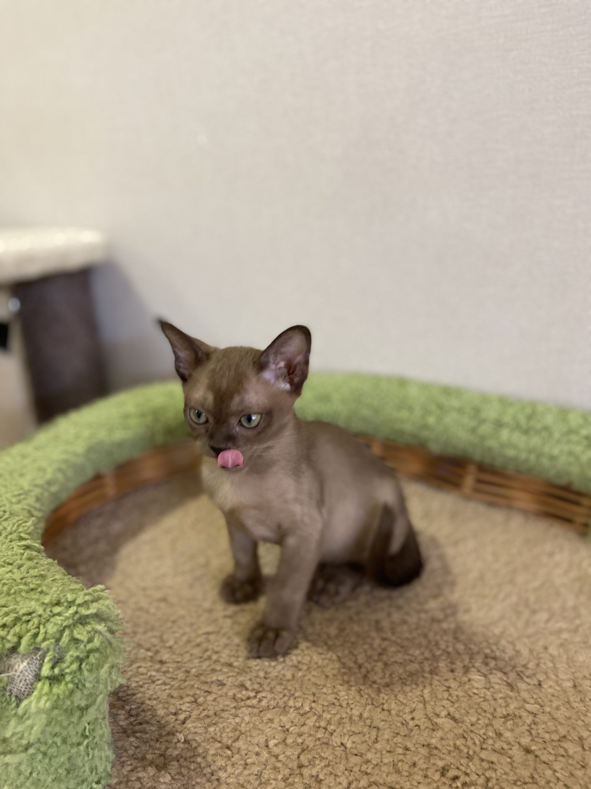 7D1C568A-7046-4F3C-A529-3AC992A83DAC