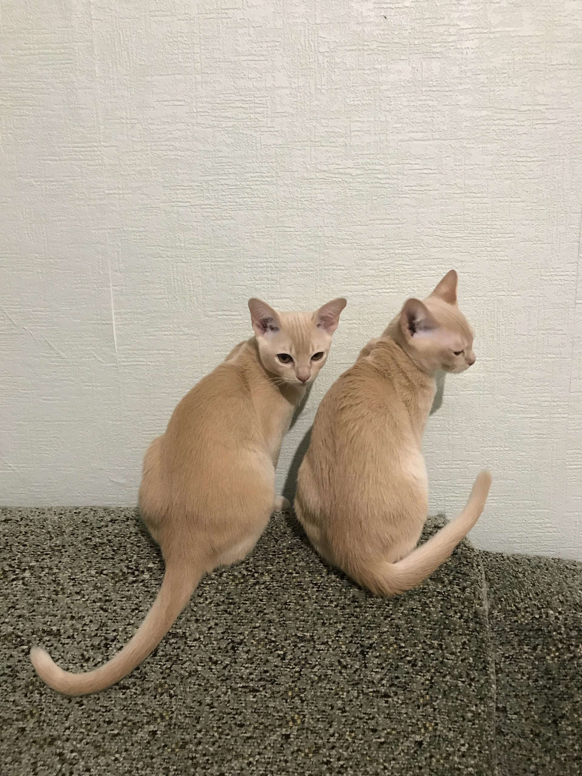 972F0F35-5E6C-41AC-B105-CE23FC821281