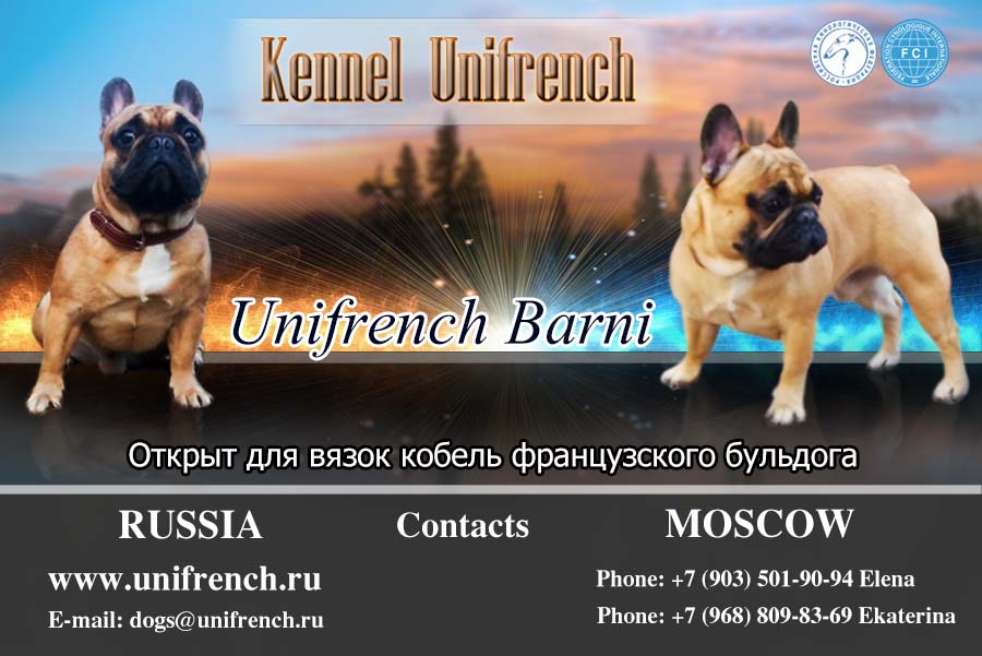 3Барни-Вязка