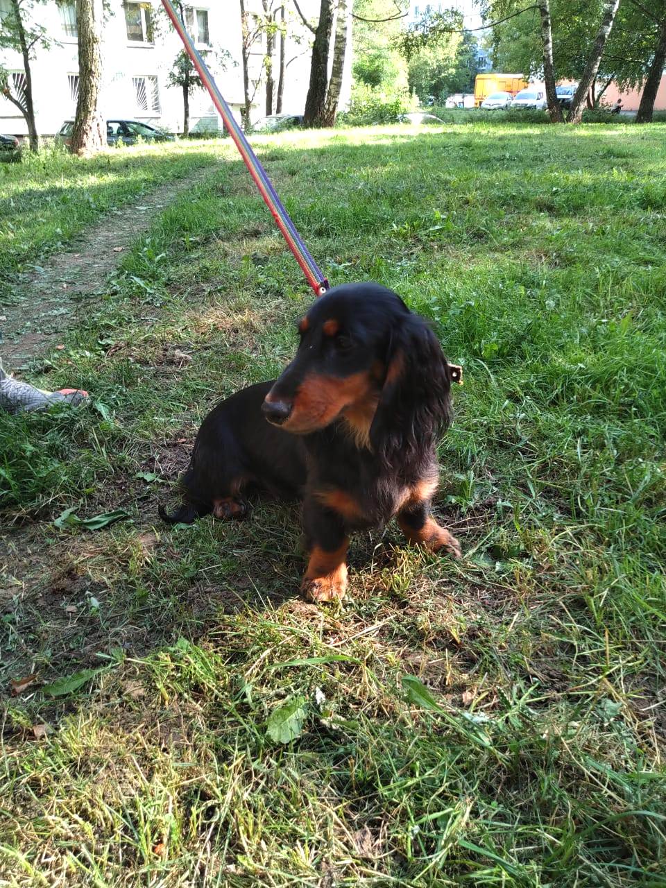 IMG-20210820-WA0029-а