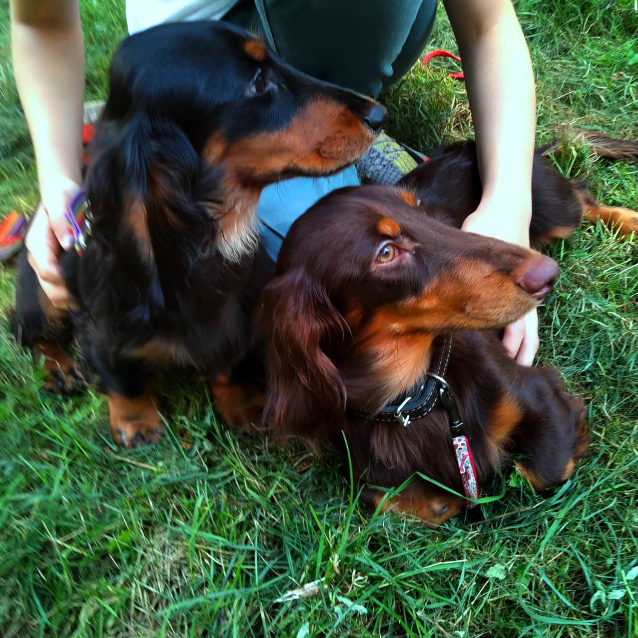 IMG-20210820-WA0030-а