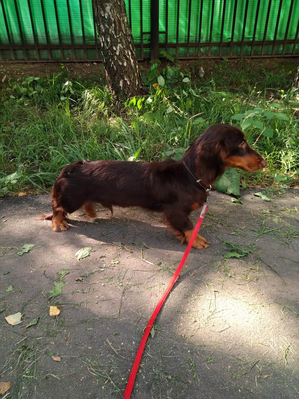 IMG-20210820-WA0066-а