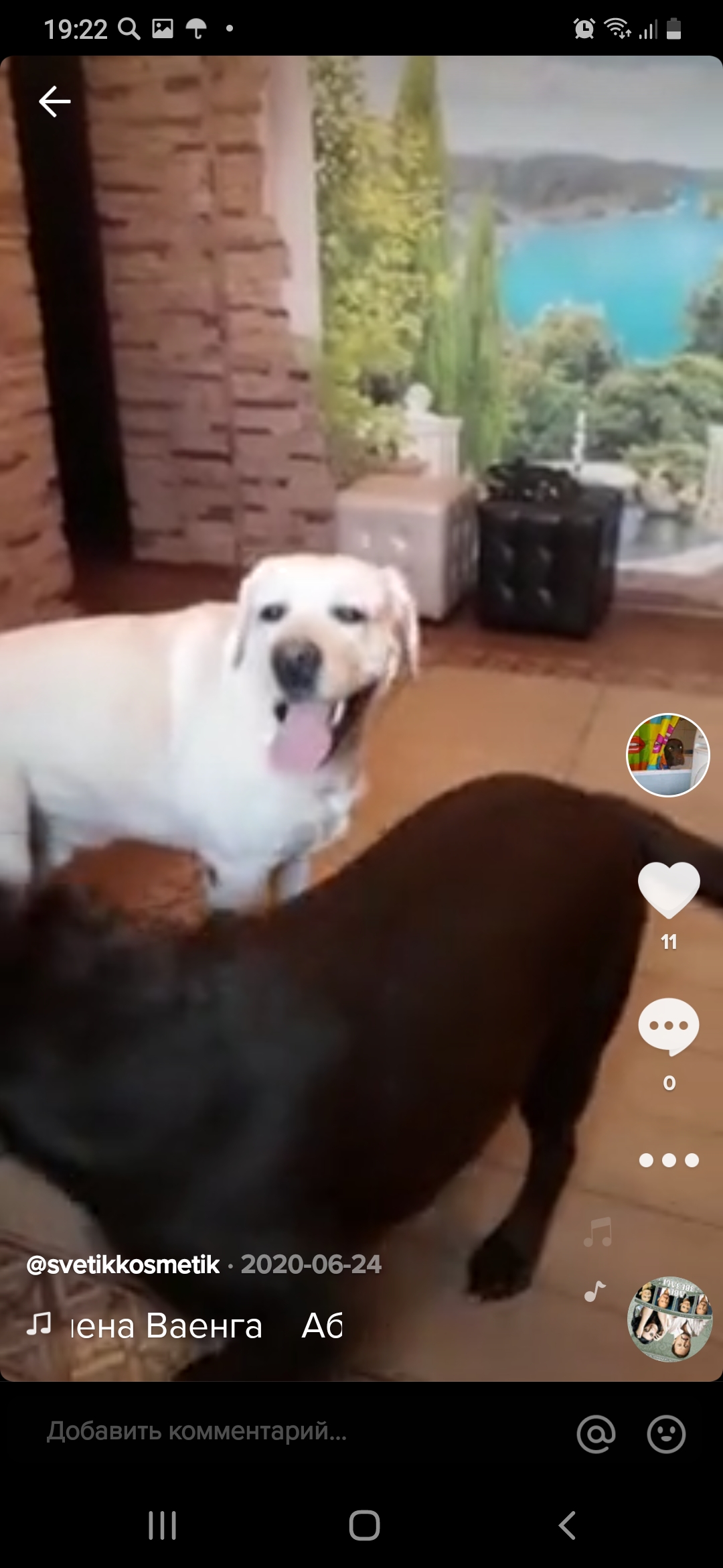 Screenshot_20210928-192251_TikTok