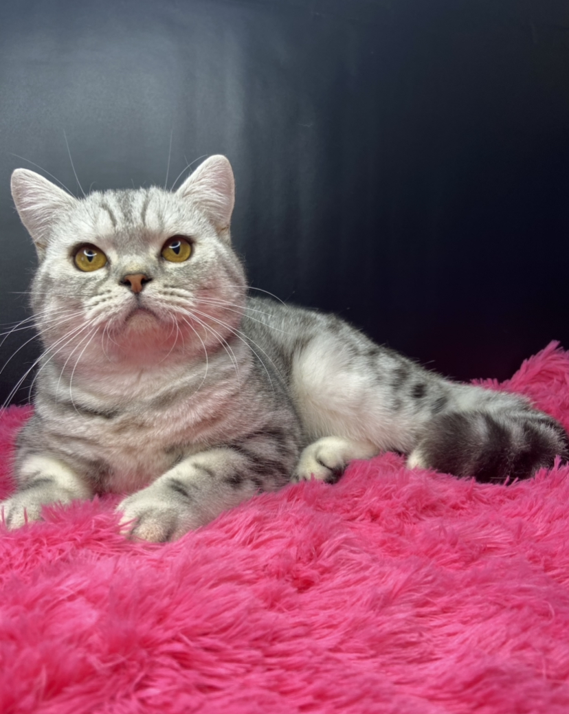 02D79412-46E8-4A4E-8E6E-13FD1B738D77