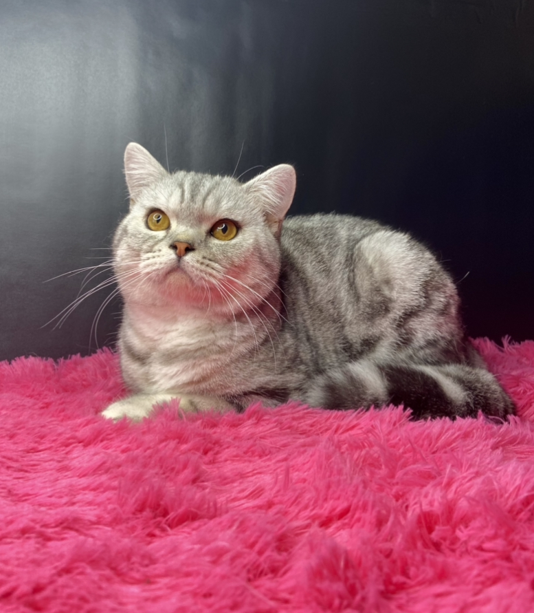 0640F7F0-673C-472A-B1F3-2F5362F5F800