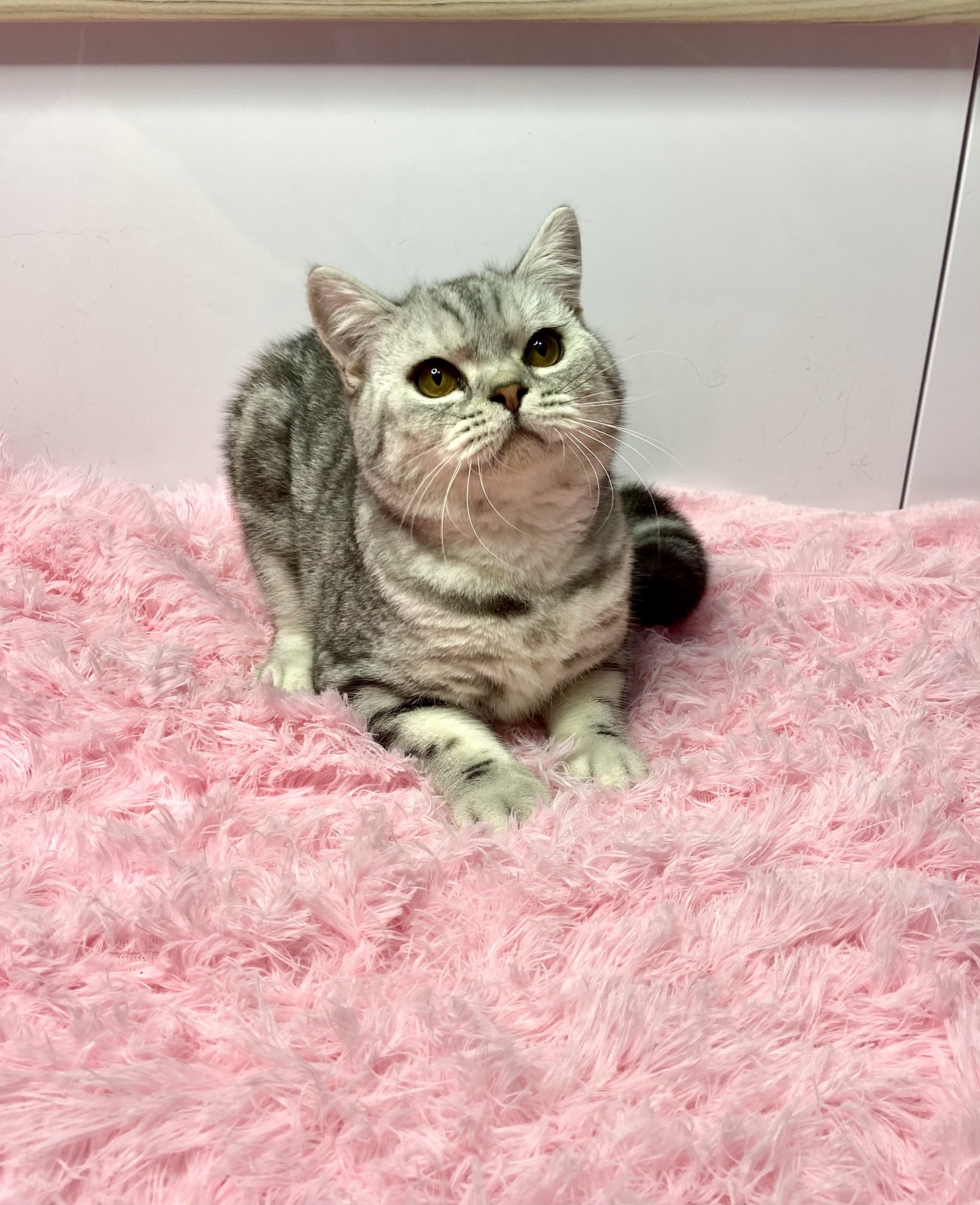 27B19E28-E491-45D1-A1D7-BFDC1EB7877D