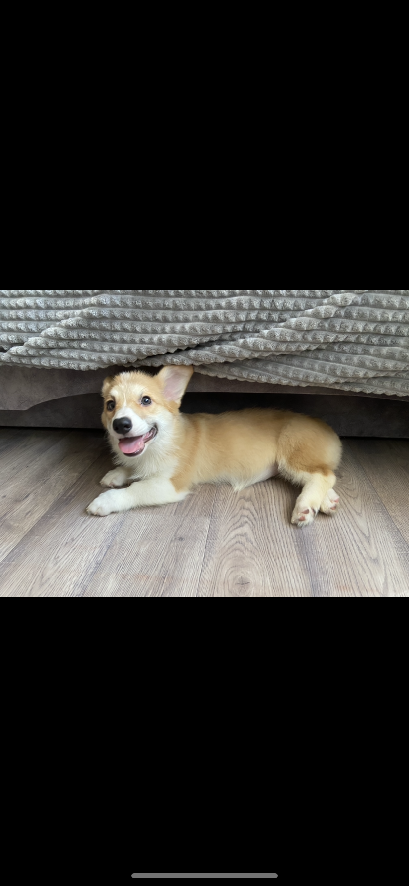 34C79BF8-9D97-4449-9595-D6B35ED6F2AE