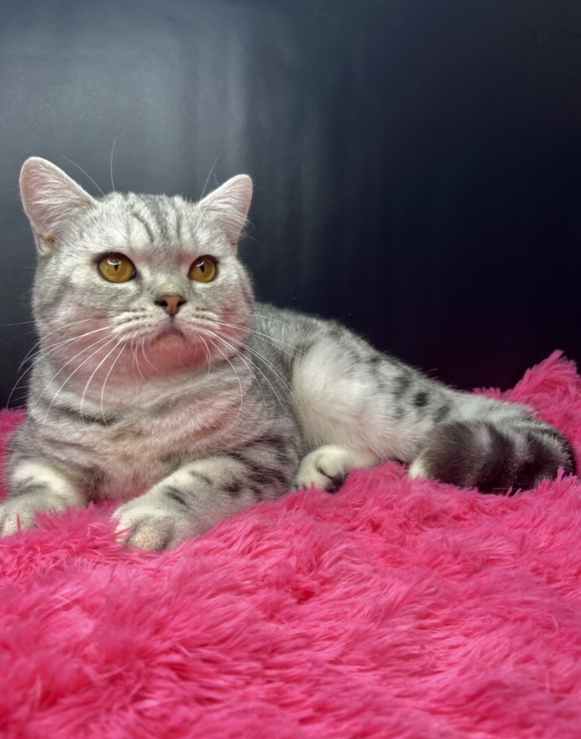 34D39A7E-5494-4B02-81C5-8D55A37AA461