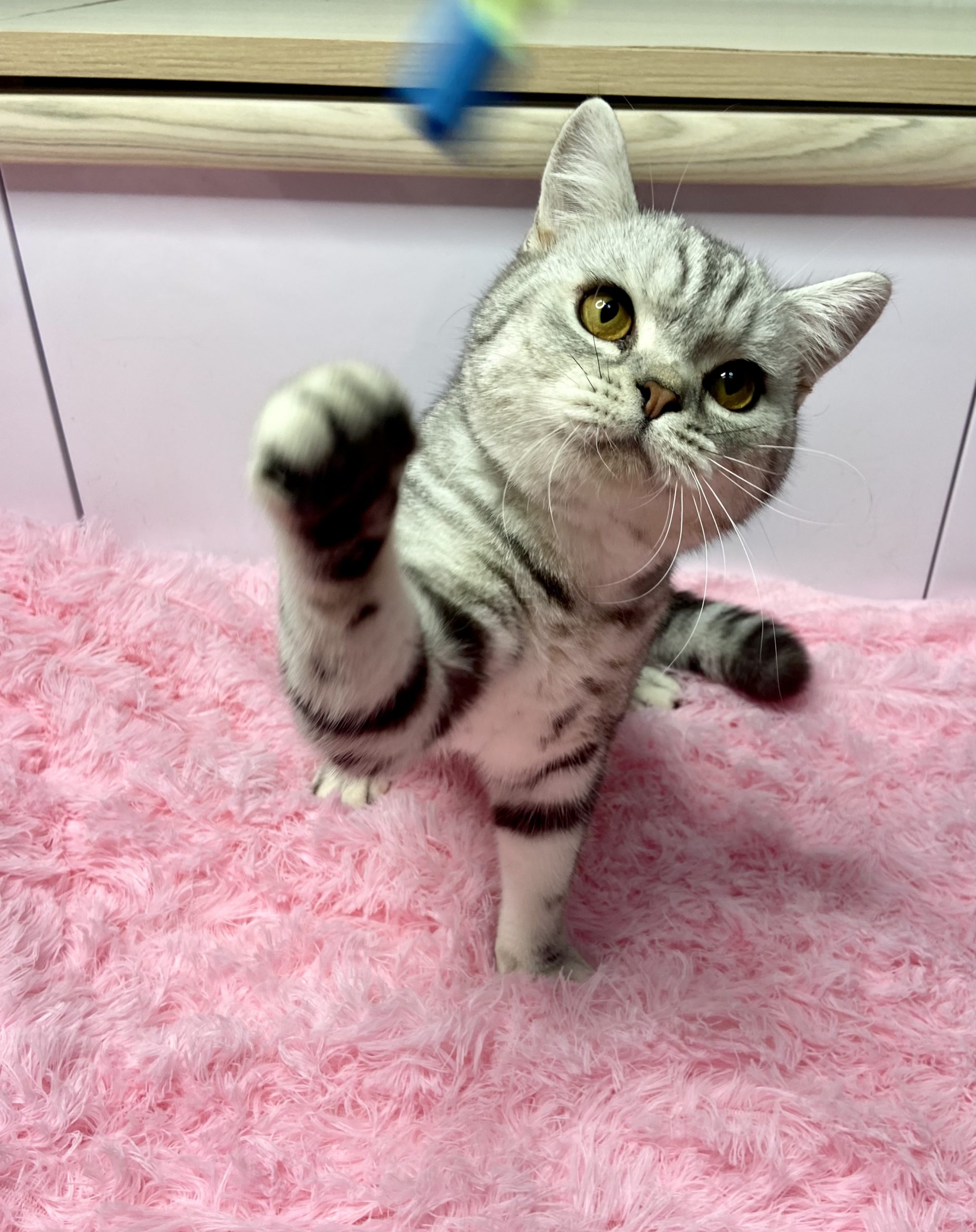 5124482C-C180-4733-8B4A-5B4731A8175D