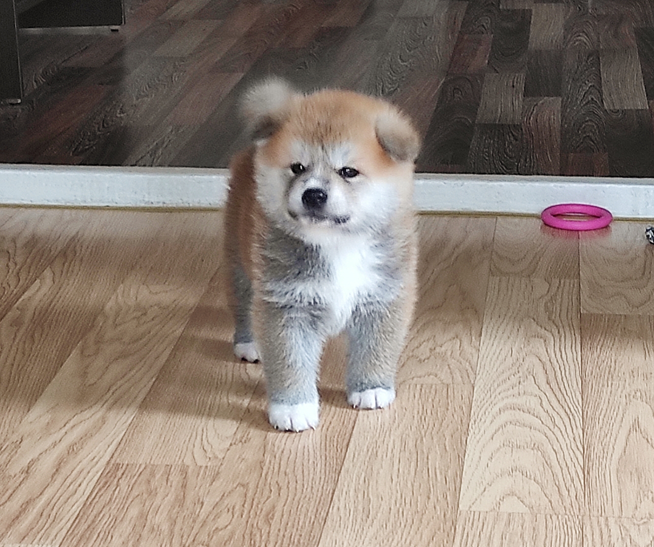 AirBrush_20211012143738