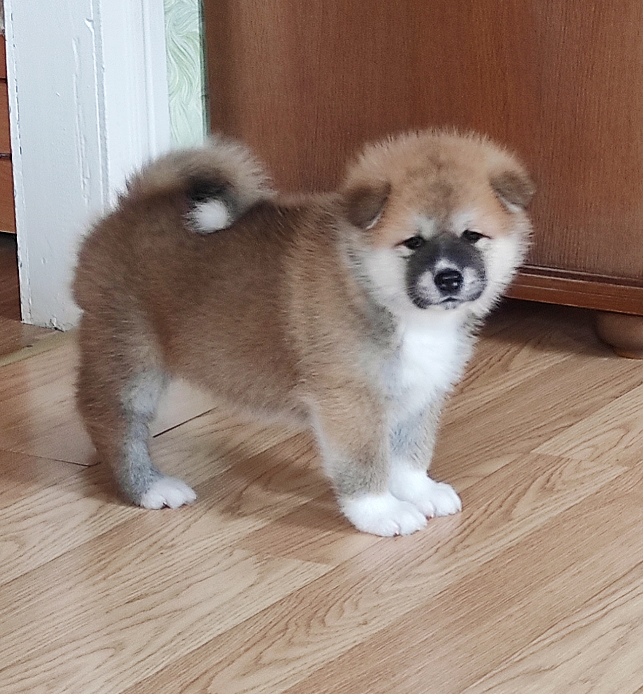 AirBrush_20211012144008