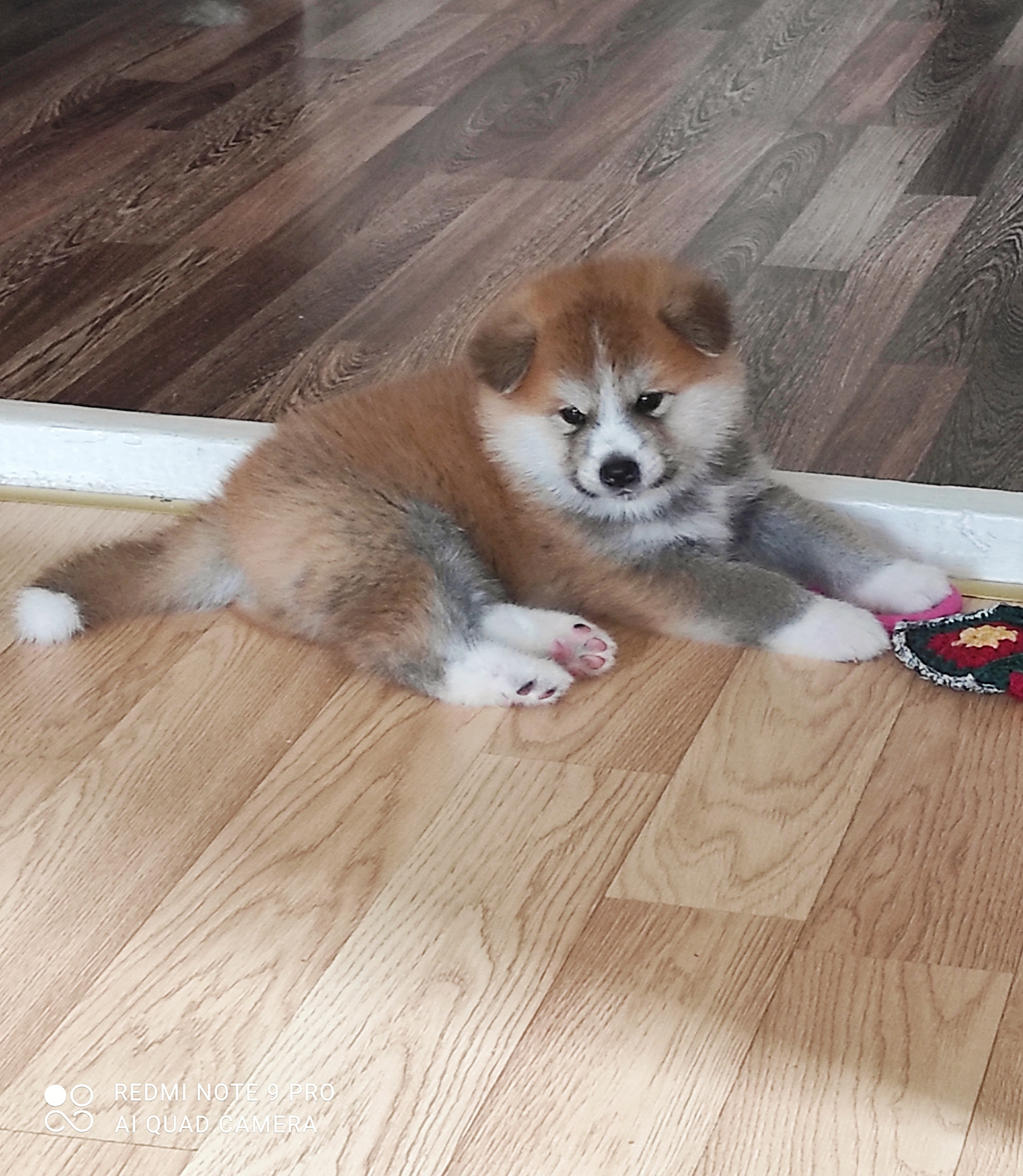 AirBrush_20211012151849