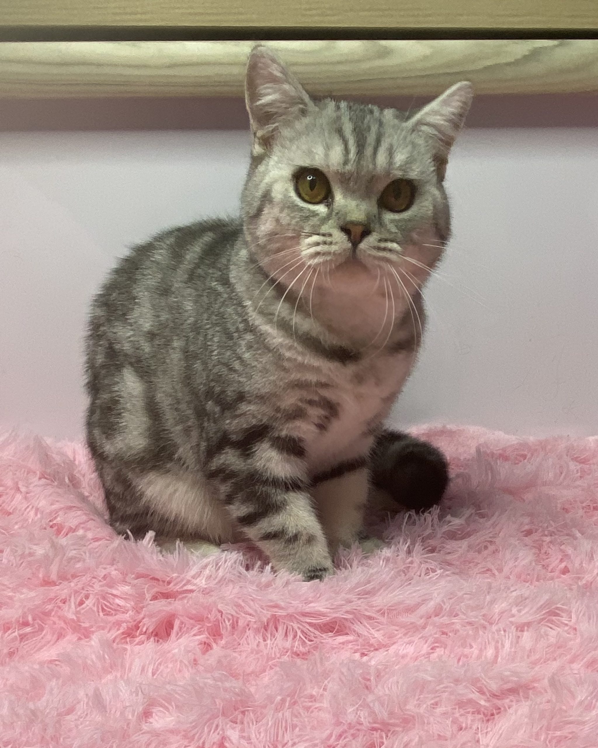 C51E1CFA-AD8F-40B9-B72D-262F7E26F01F