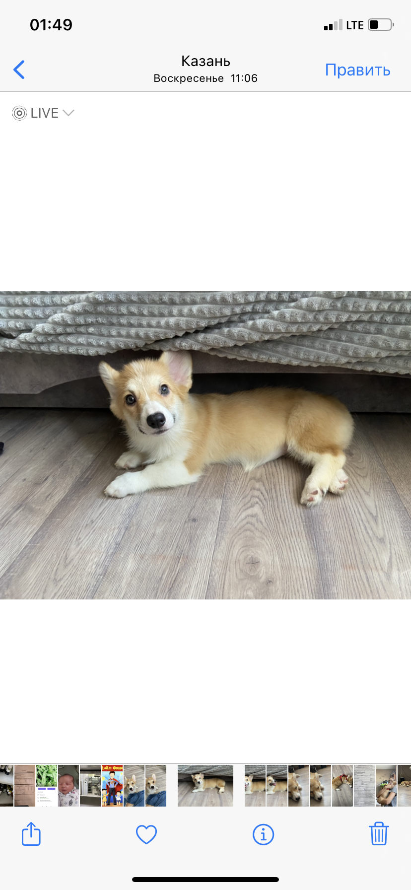 DD4D37FF-8F9A-4CB4-9E3B-D02A2D178822