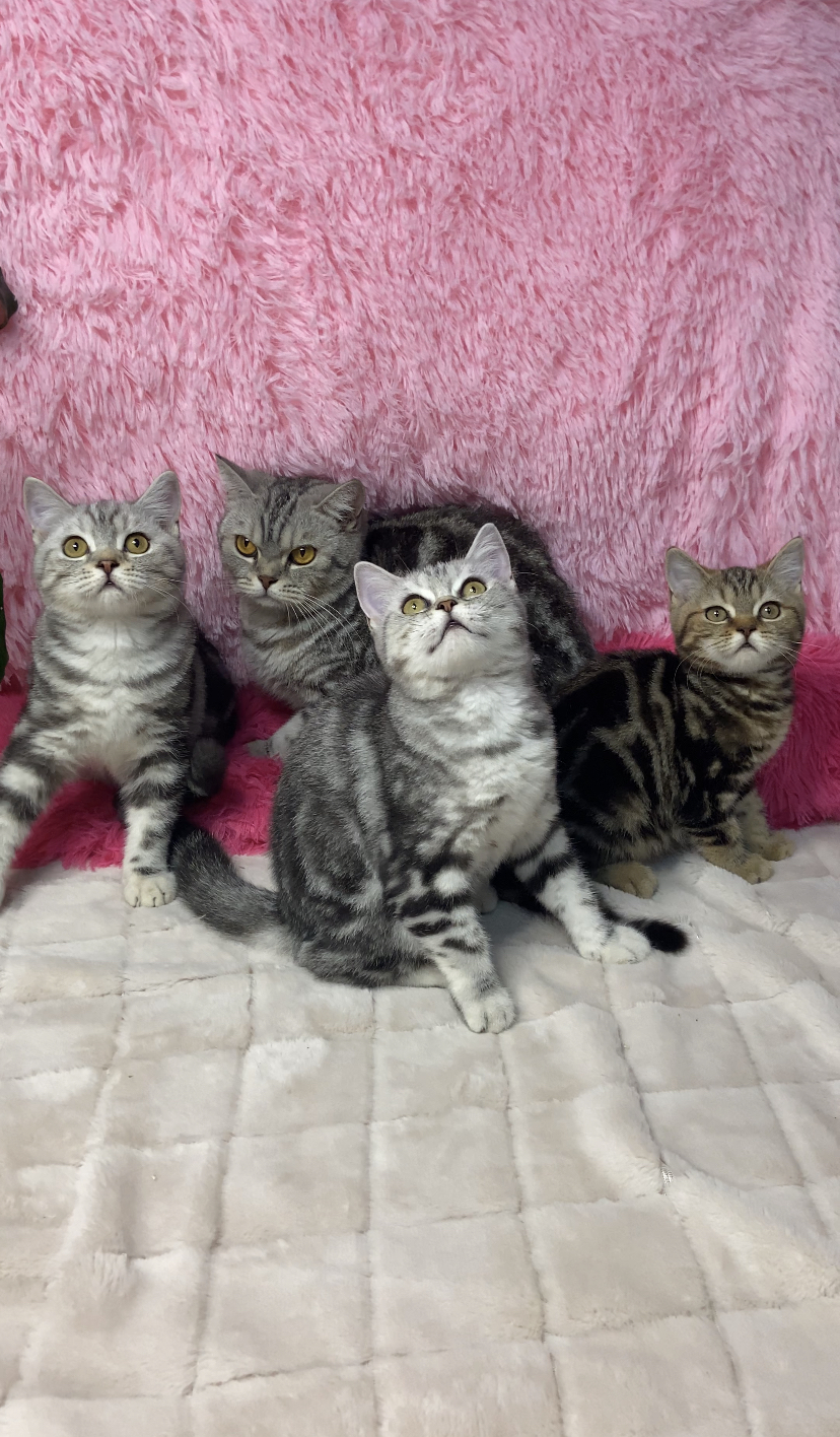 ECECCD01-D041-4139-949C-101050E3AAFE