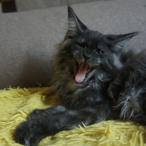 0553153F-BF07-4604-8746-CF50FA00E452