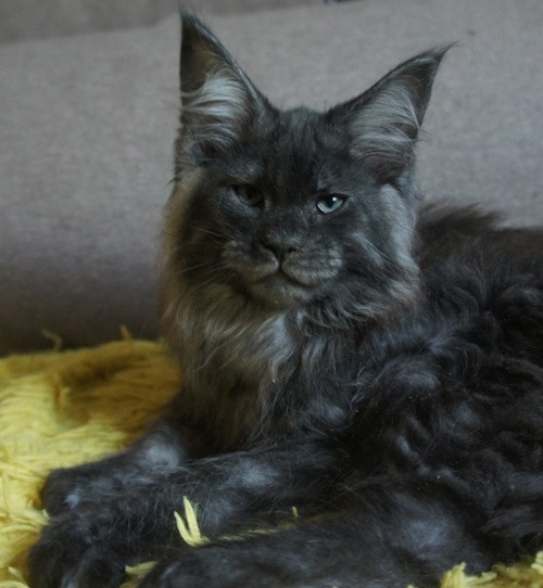 265F6045-1BCA-4336-8FBB-65FE27EF3608