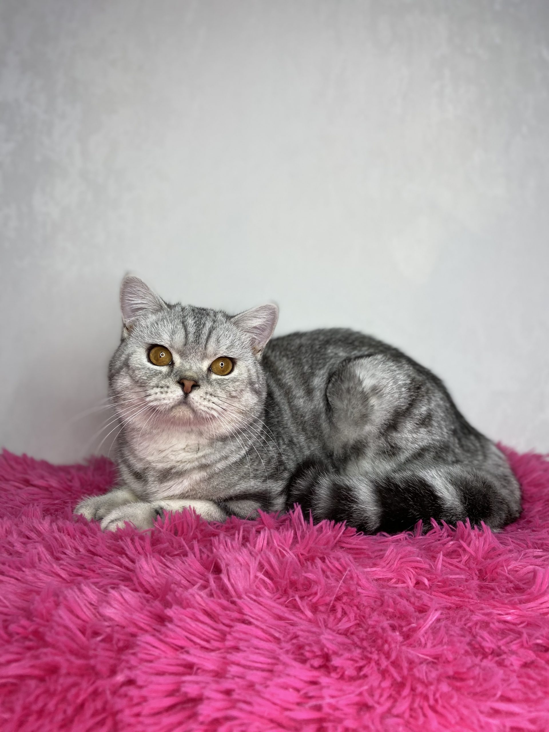 484BD0E3-1FD1-46BE-91FA-E2F3694B7230