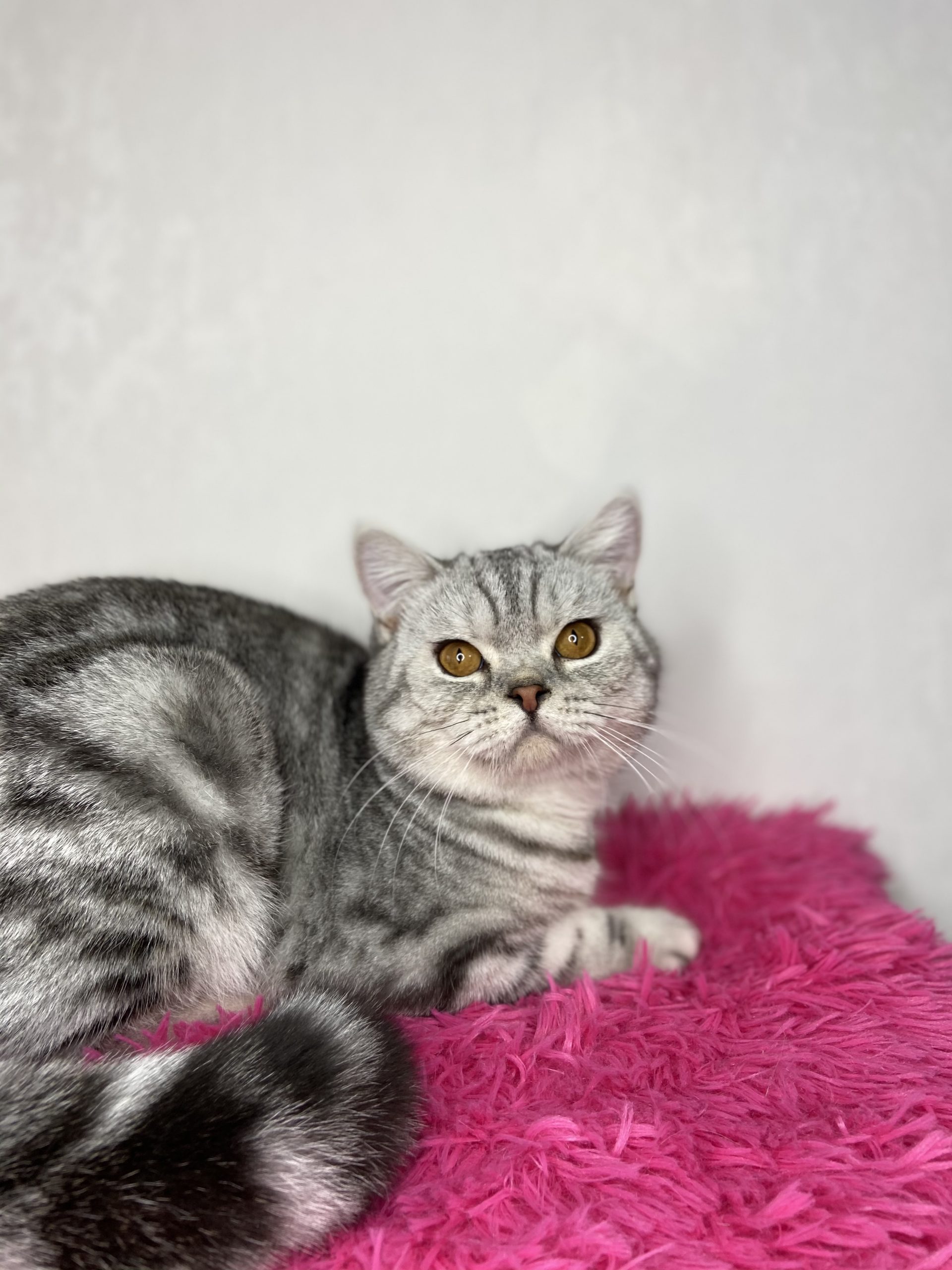 607AF3A2-0B72-4F10-9A30-5E97A9C63206