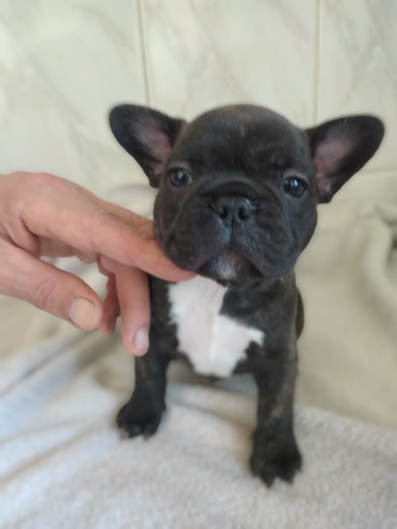 998F44DC-5E82-4035-9308-52CBC7216088