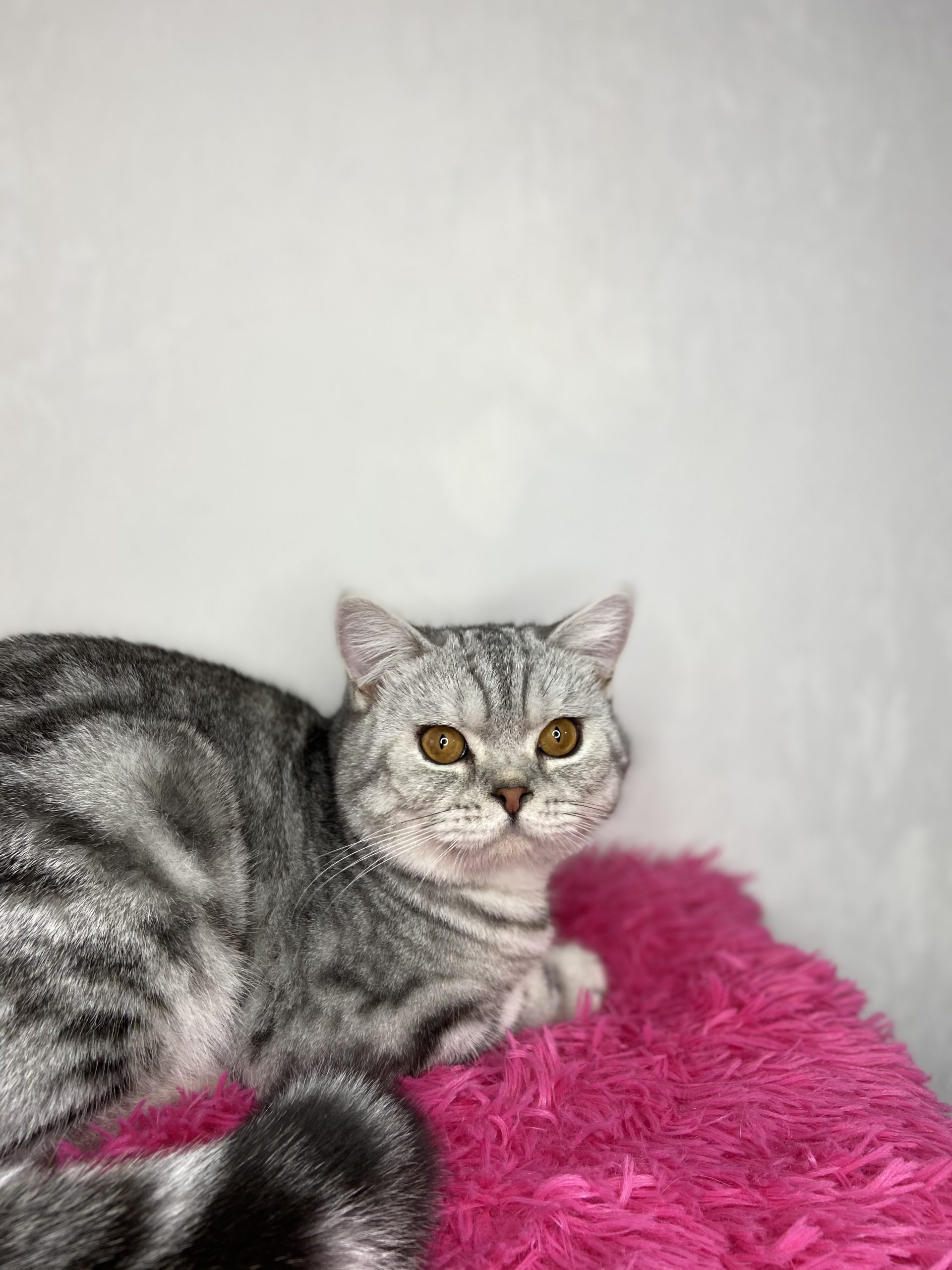 9B325E63-8842-4E44-8B8B-4E76DB16CF15