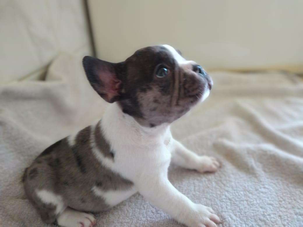 AB276CF9-E6C0-40E3-8C70-57EABA1A17E4