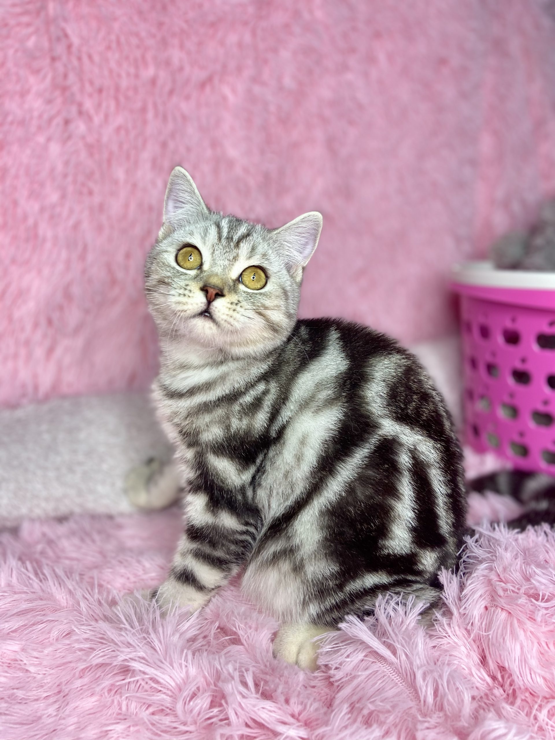 AE4CA432-3195-40E7-A130-F78AE6F93A74