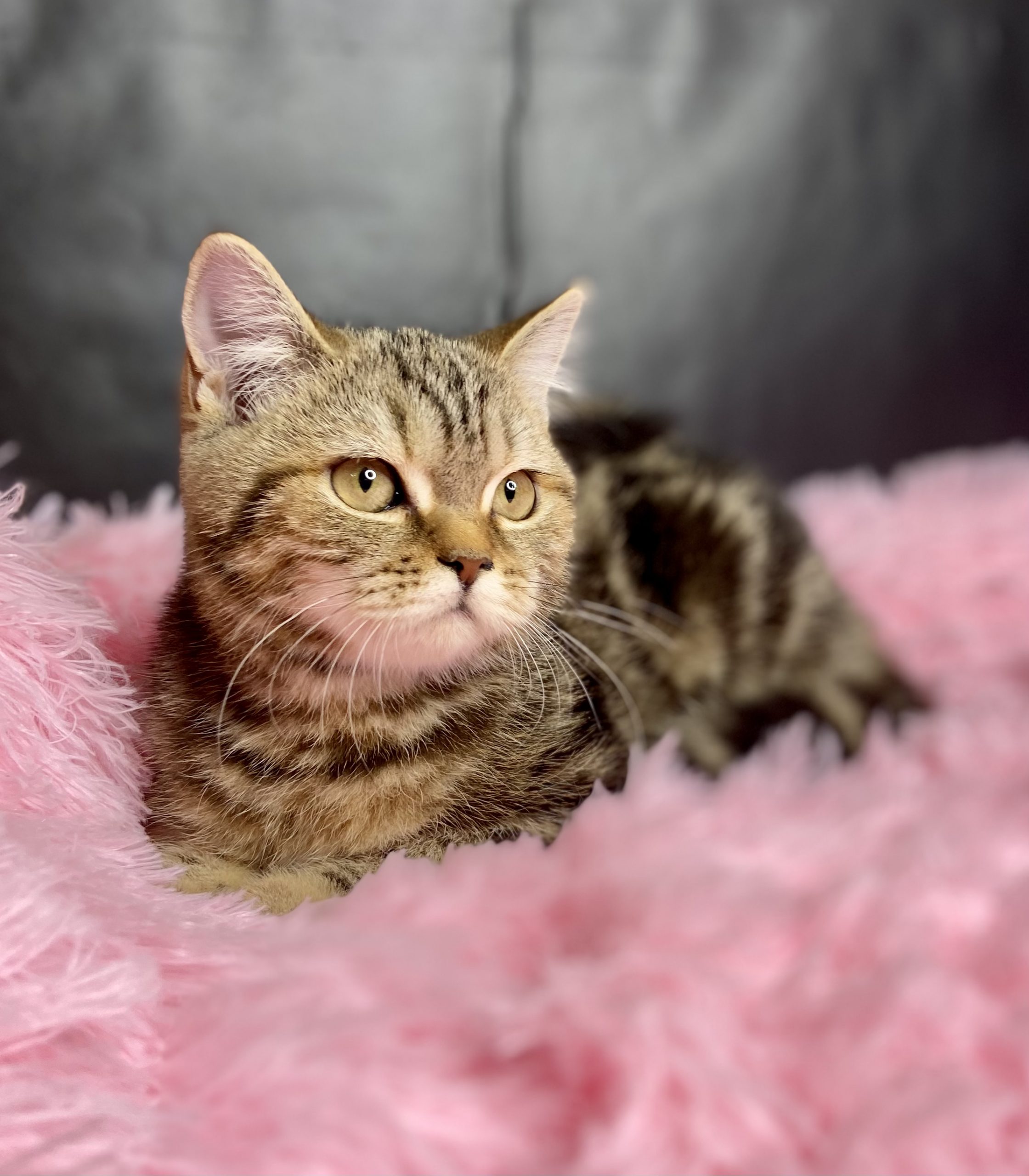 C71F0DEF-3E58-4CFC-AAA7-A1B493E62E60