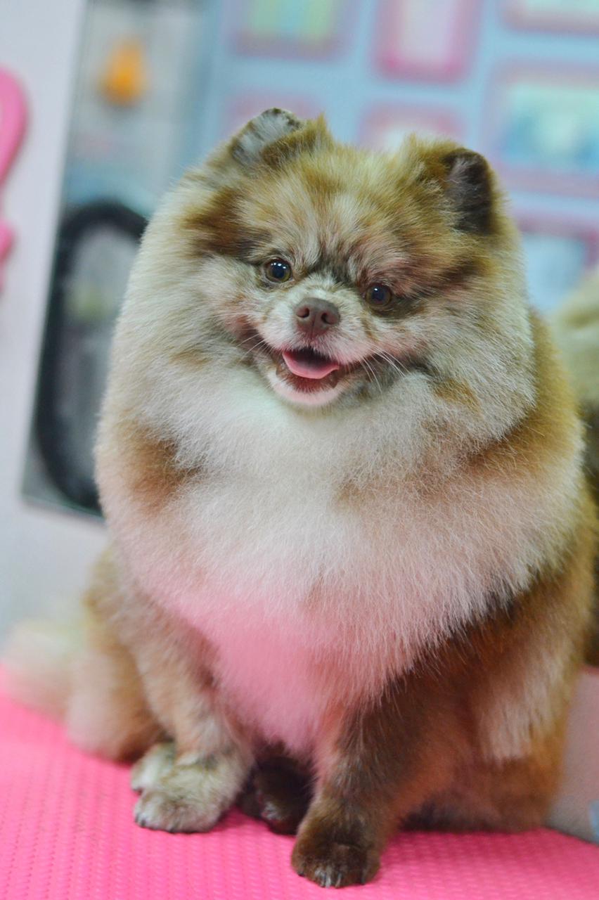 F6AB762B-3C3C-45E7-A0CB-EE6872BB5272