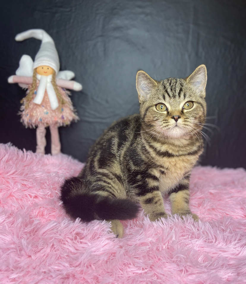 05A8A8AA-DCDE-4CB7-A9CA-B9671F17AC93