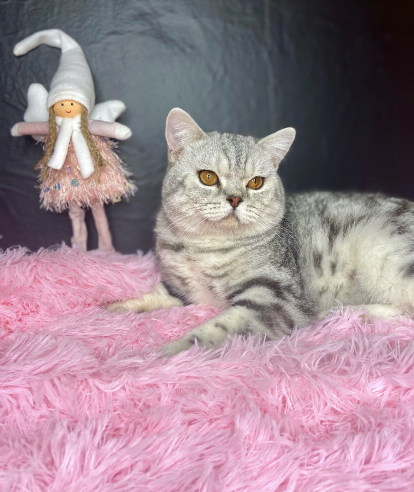 4AF5B318-9523-4C99-BD89-F2833092A0D3