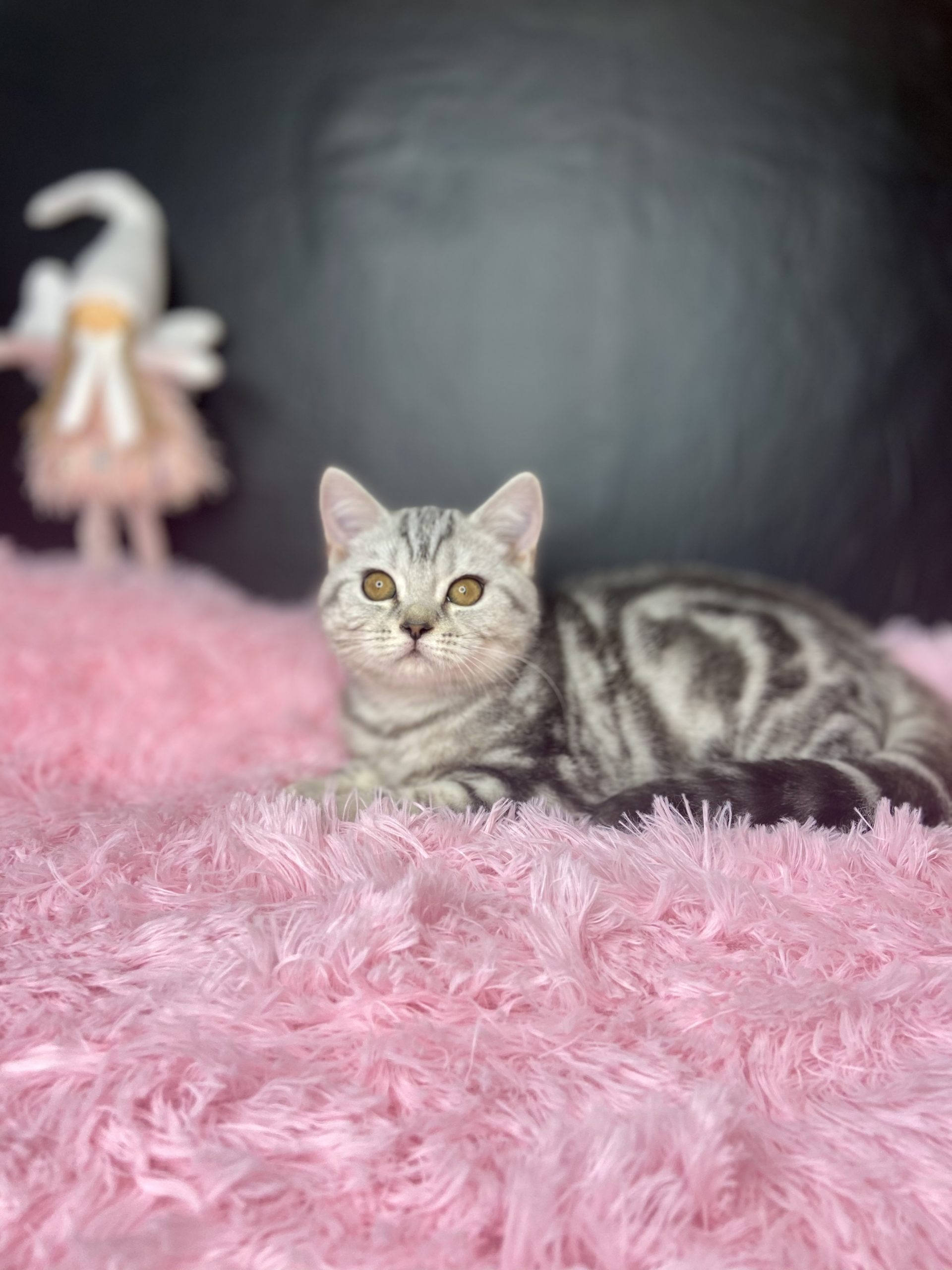 5BC2C454-D94C-420E-92DD-AA444616D923