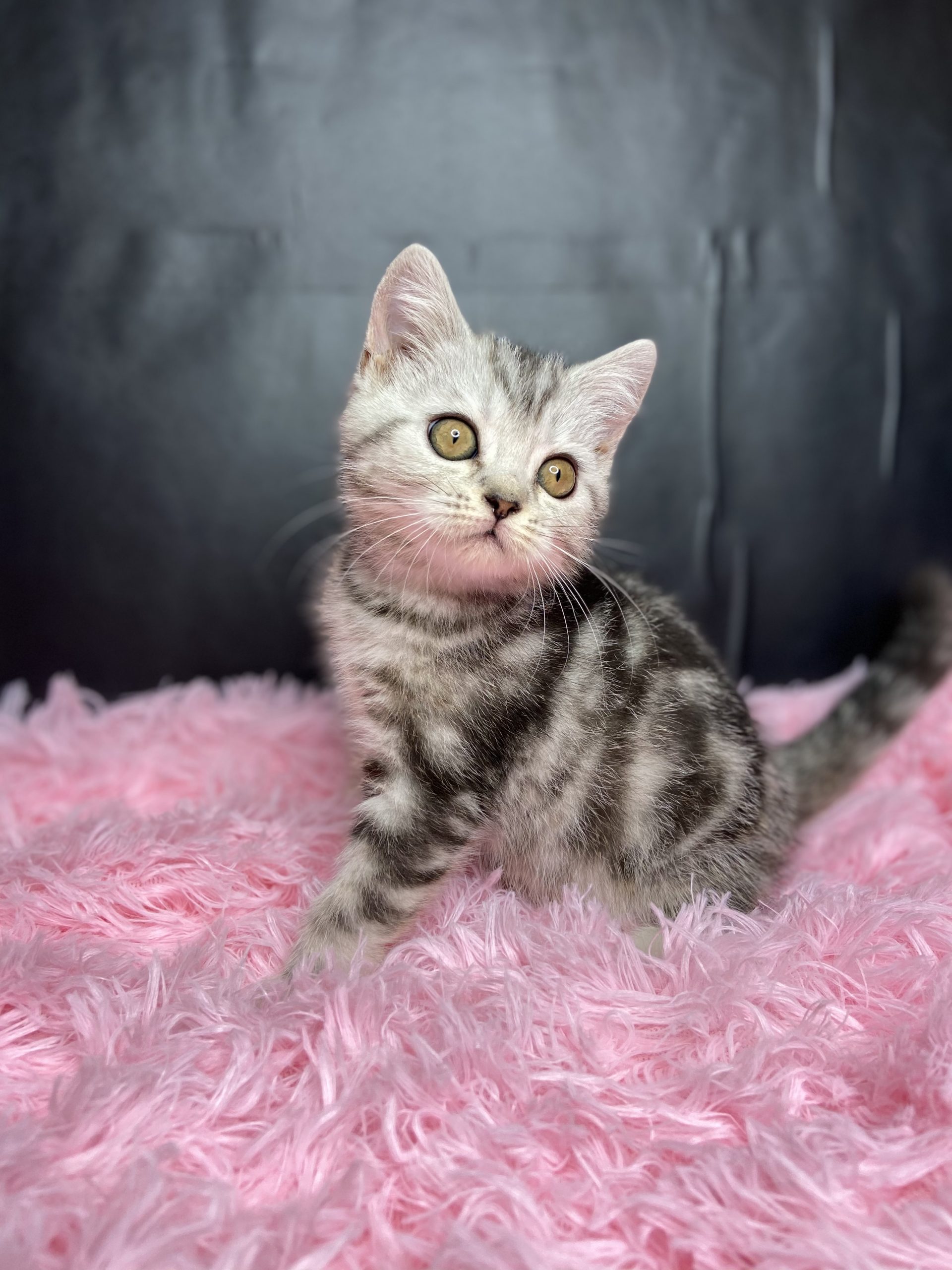 5FF8DD52-4B12-4B41-AA27-3DA7671D9D9C