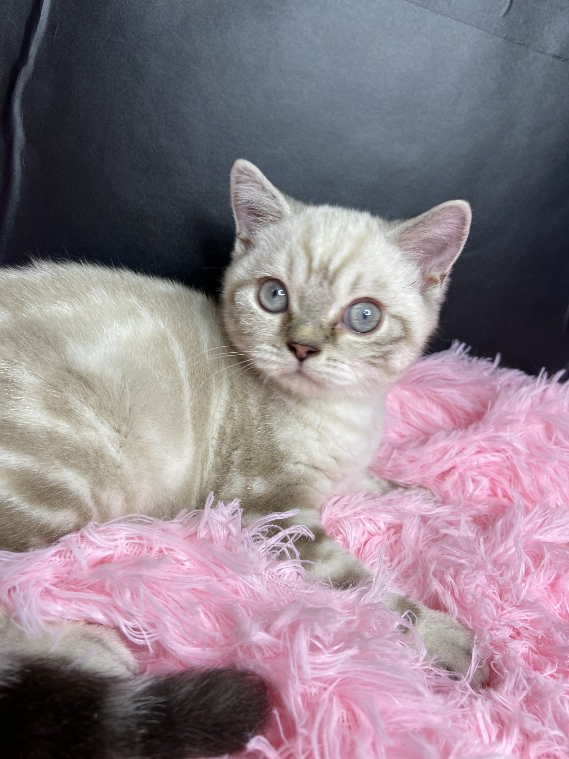 618E2CD3-2305-4293-A16B-314B8AFA24D1