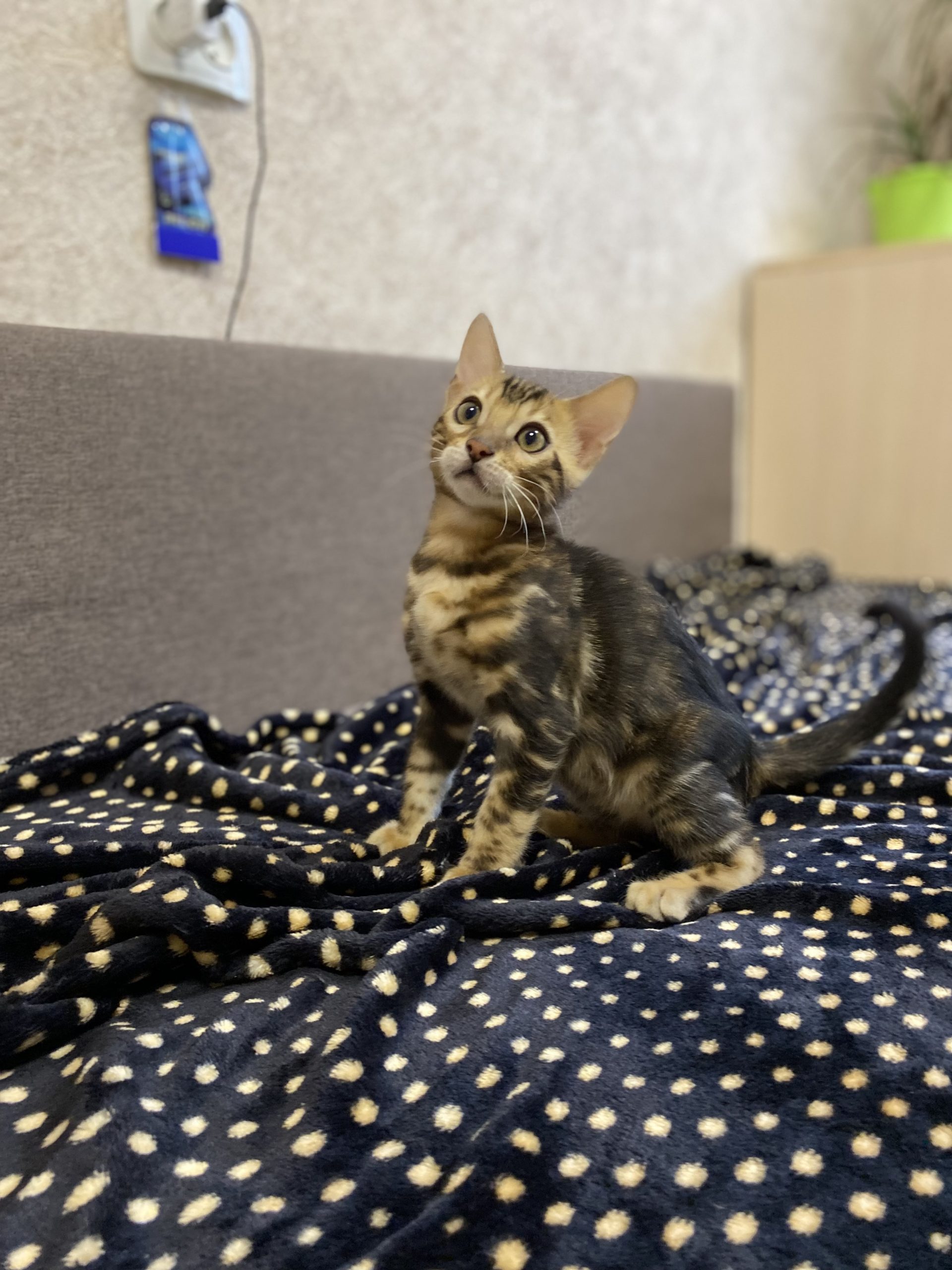 77E4EEBE-F2F7-4AF6-AD6A-D98736BFB2F7