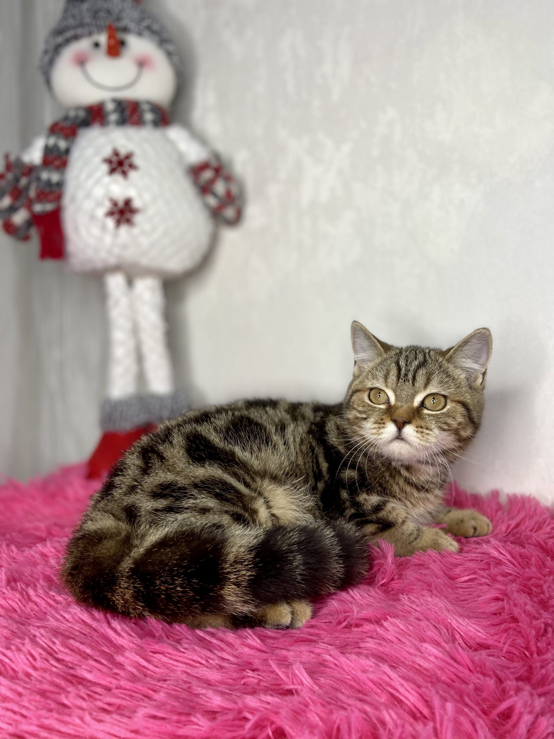 803C4E05-5200-48C3-996F-17A7F20423D1