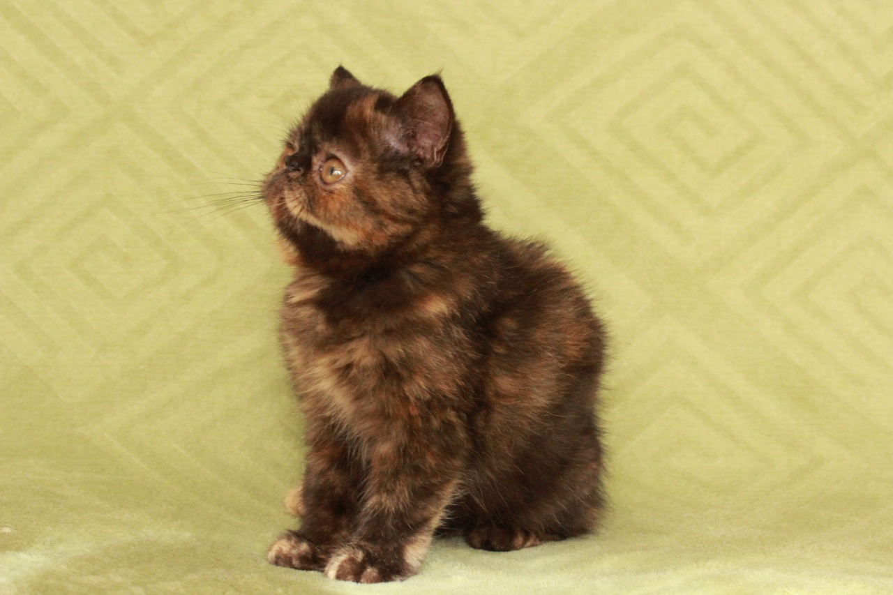 96ba0ddd-6f21-4232-98ca-19cc79e3de36