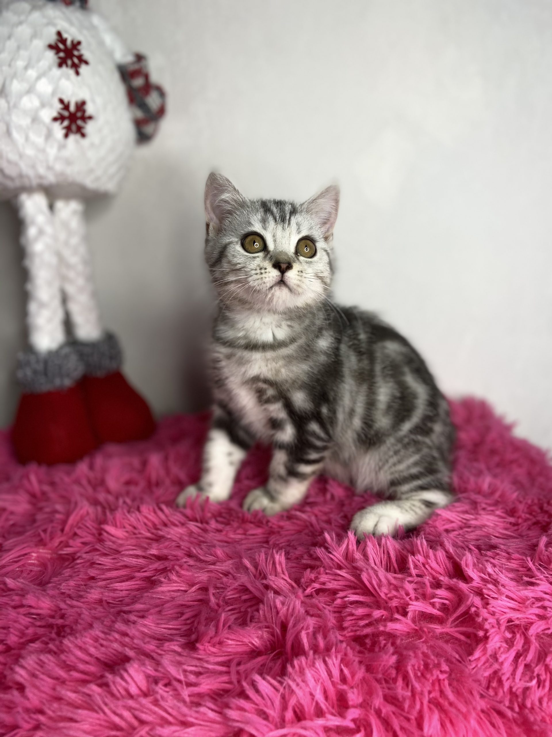 9A3F9ADD-3730-4240-9D95-C7AB576BF225