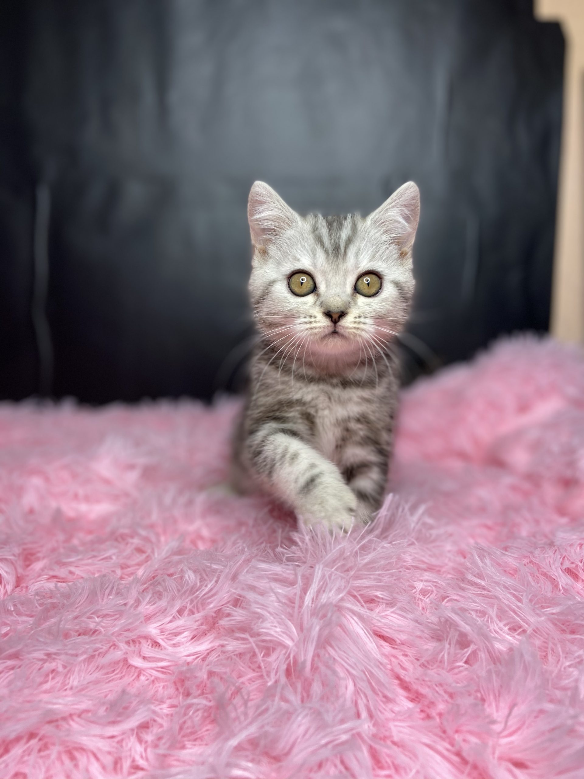 B02DD1AA-84E6-4DD6-9162-2FB73510A203