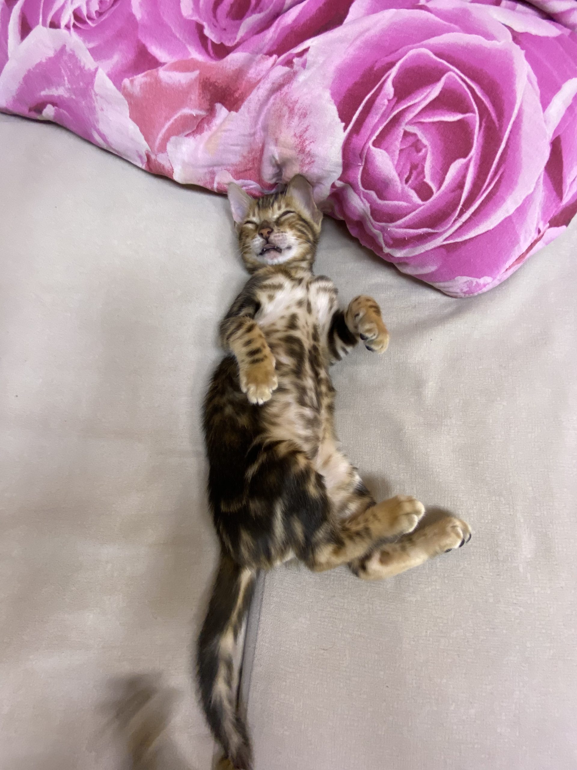 B05E0494-724A-4584-A07D-093C32F6CFA1