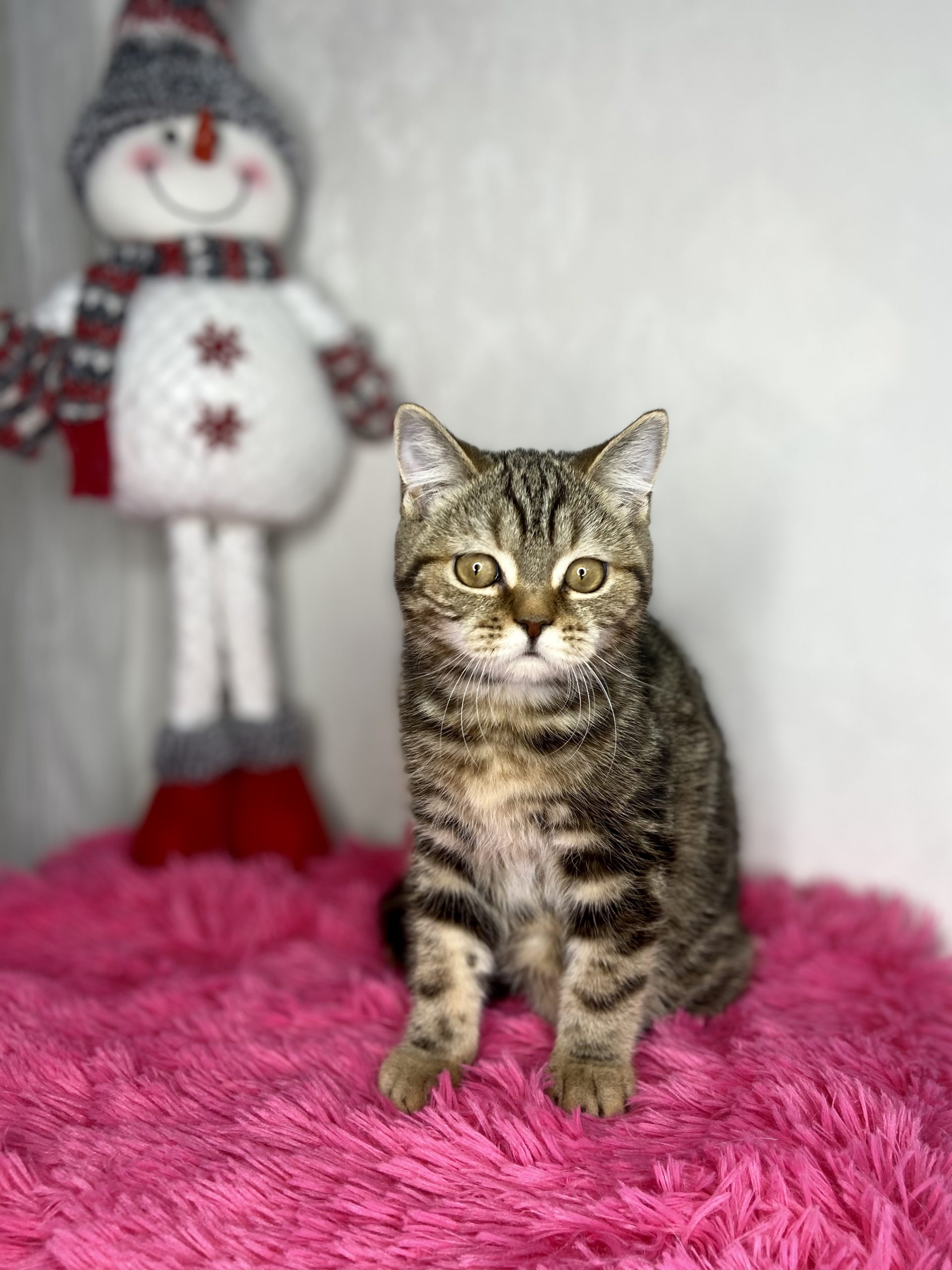 E7106F61-F830-434A-A5DD-713B3B244D40