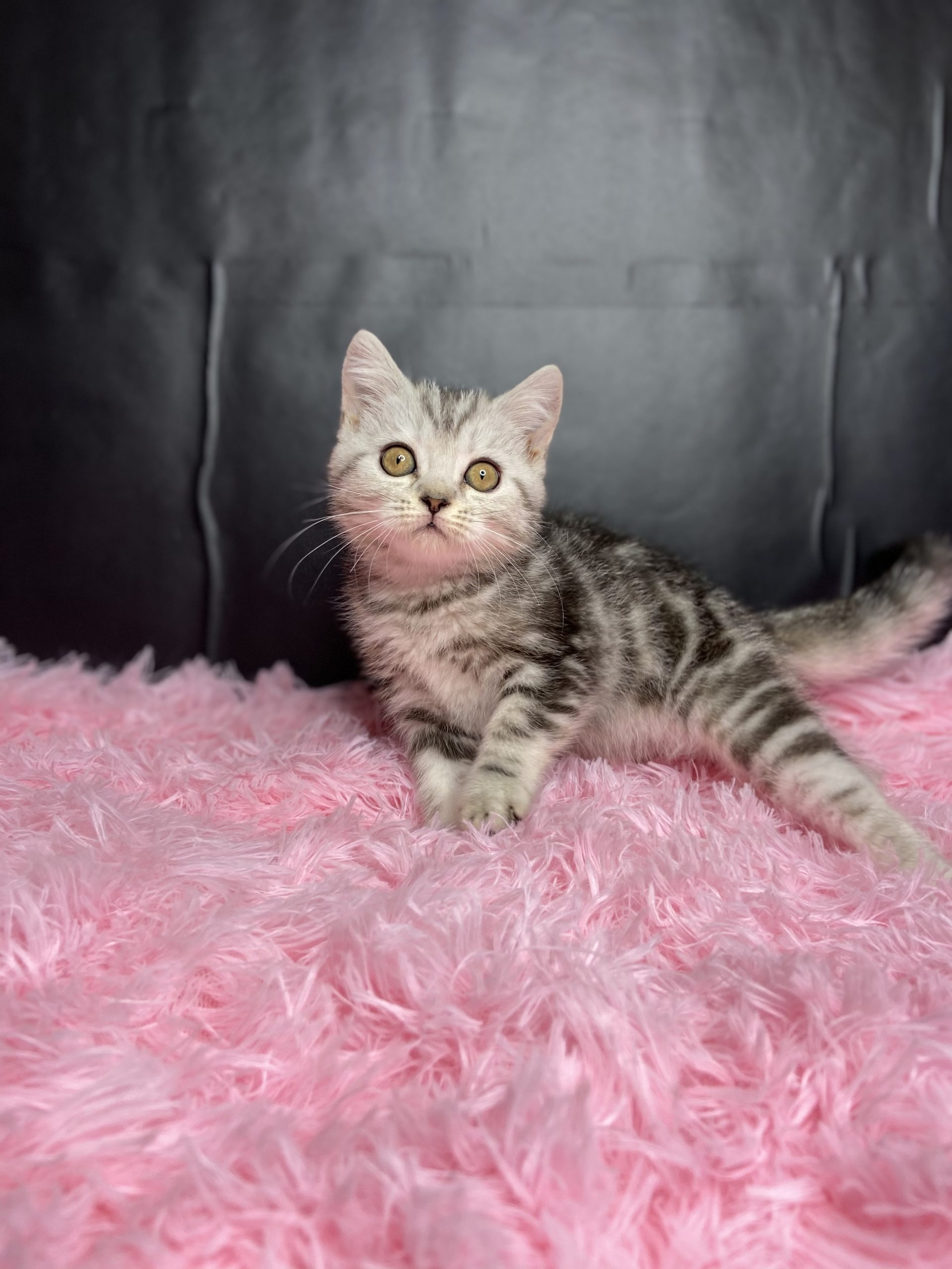 E8C6C51E-CFFF-487C-AFA1-6B408E360732