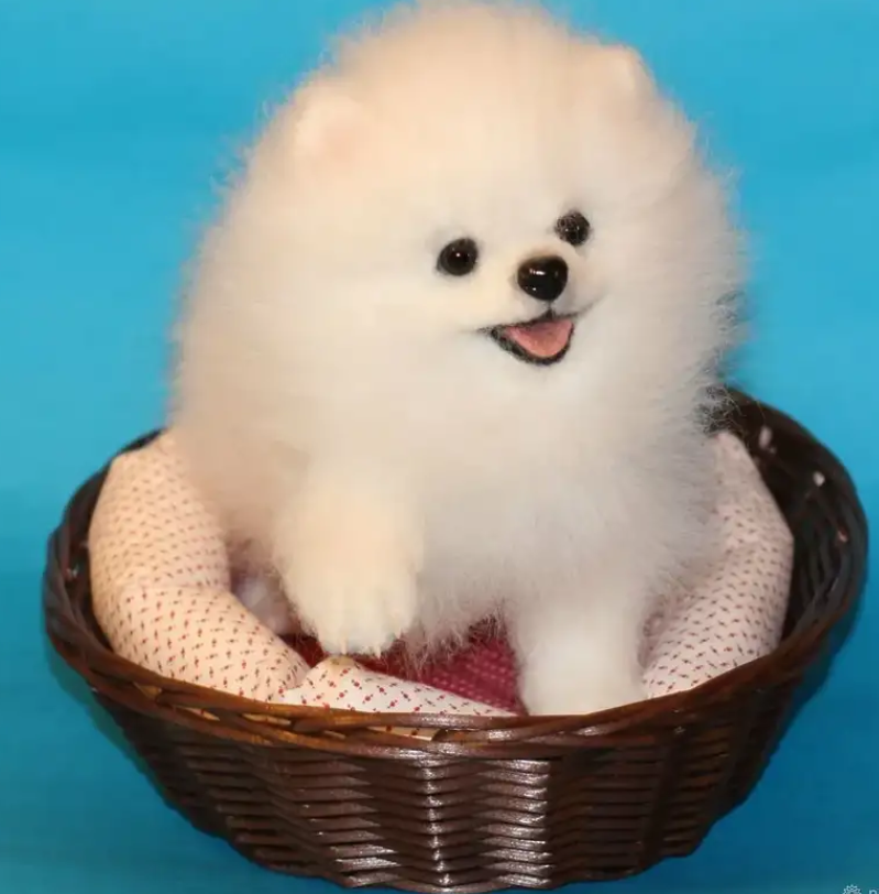 Screenshot_20211215-1413512