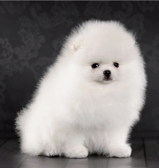 Screenshot_20211215-1415102