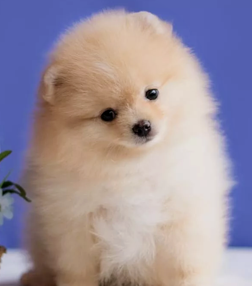 Screenshot_20211215-1415542