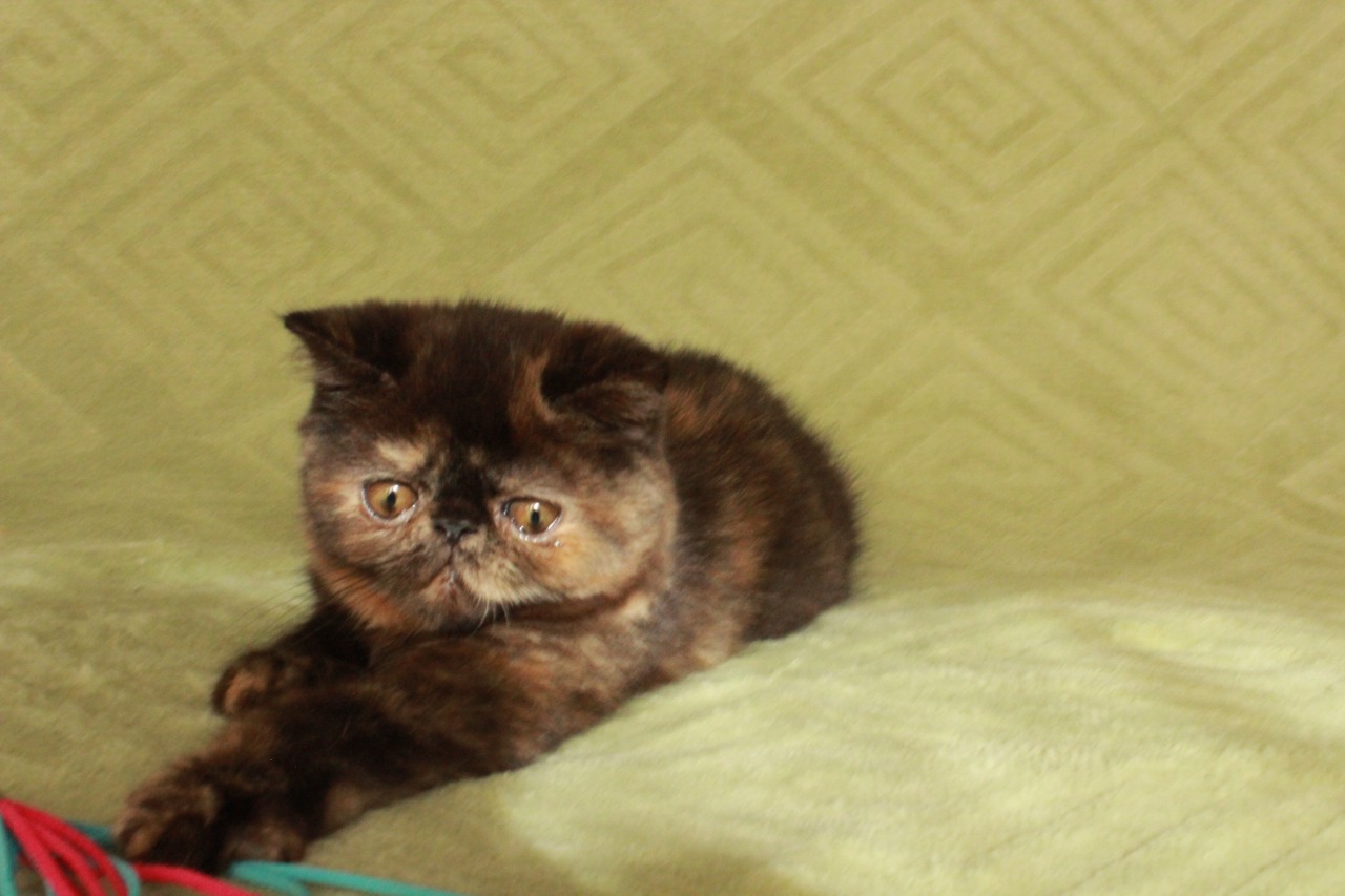 b3efbecc-05c5-4a41-850c-2fd93ab77b4e