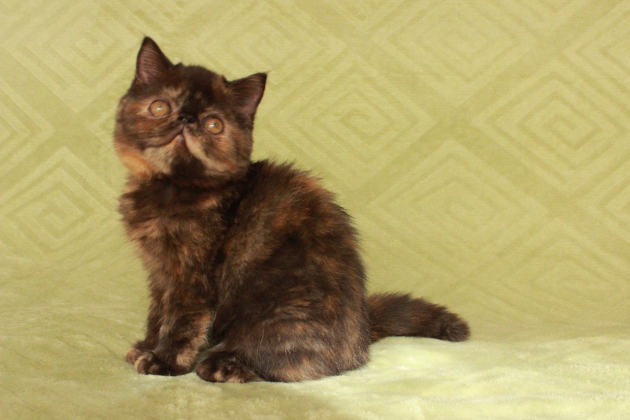 c81063b3-640d-4013-ad25-0f13e405654f