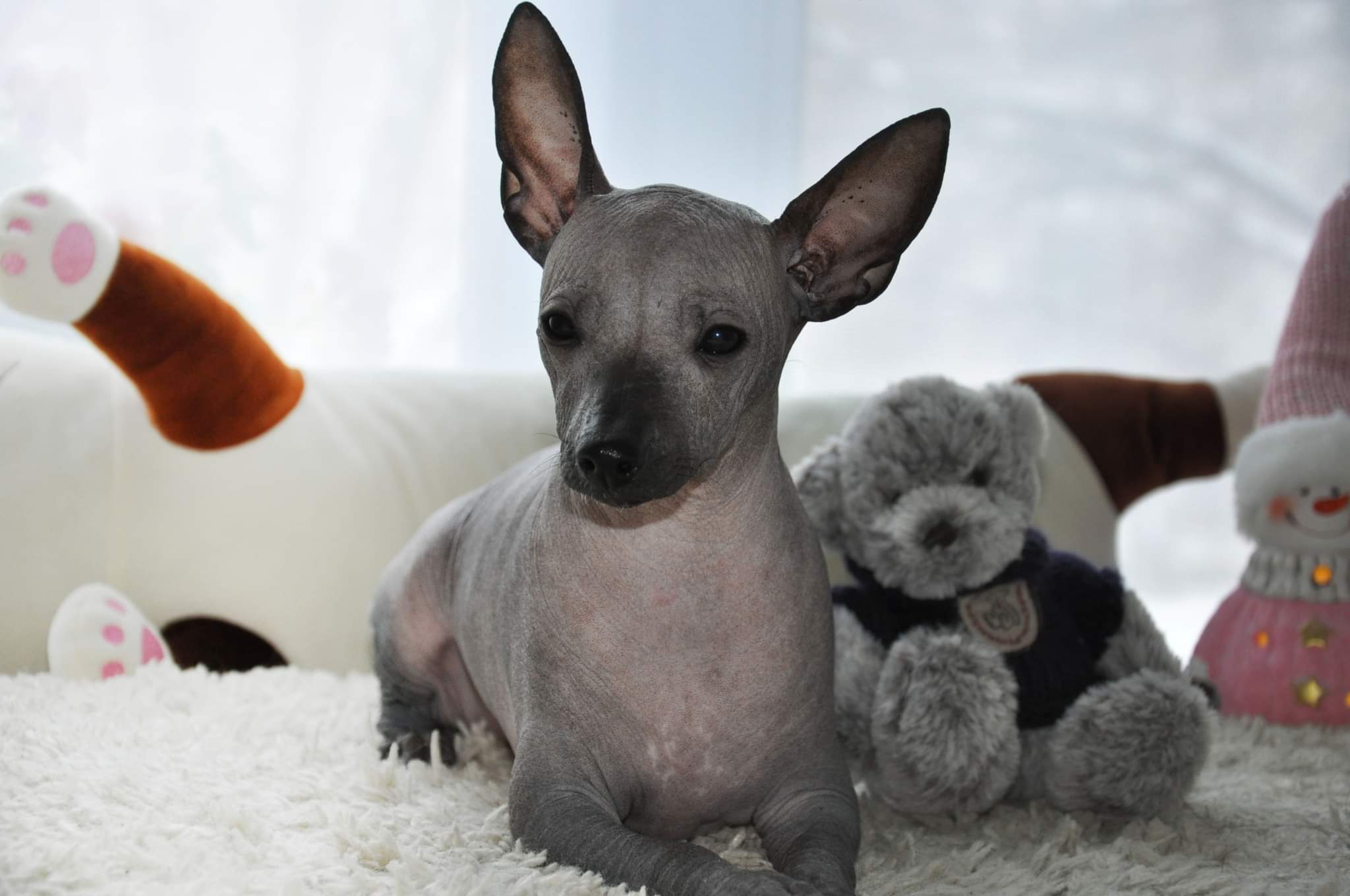 received_1173666800041595