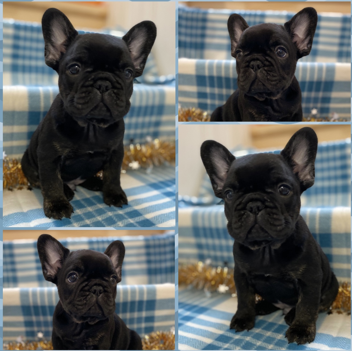 03FD4AAB-329E-43EB-99BE-D35BB3B3B53D