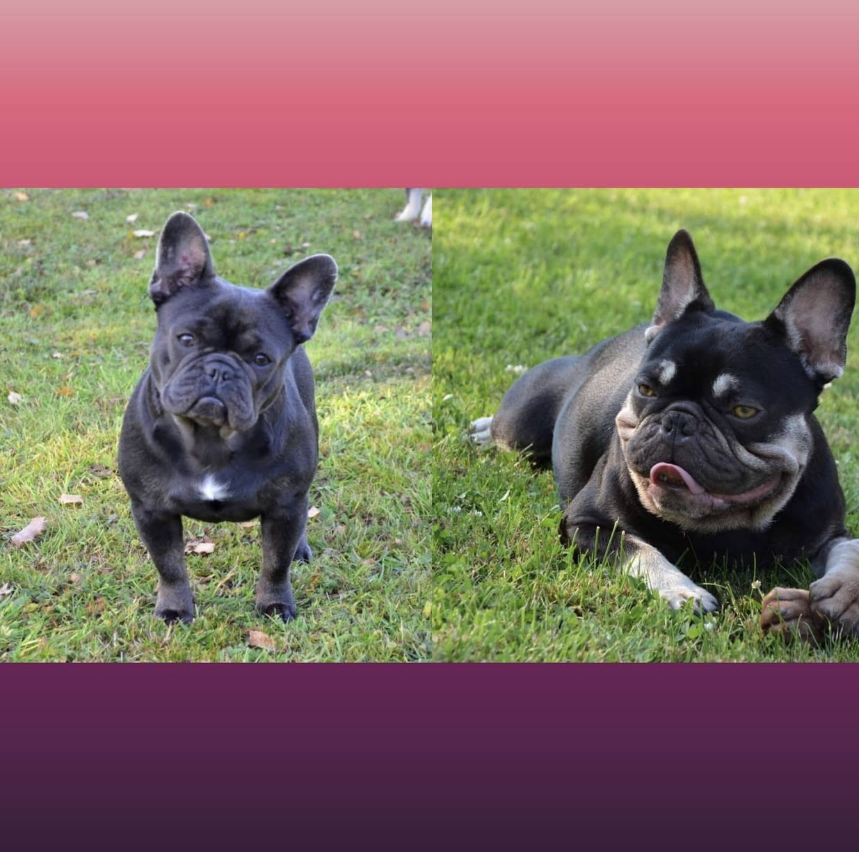 308FCEE7-2CD8-459B-9325-5A3B2D138643